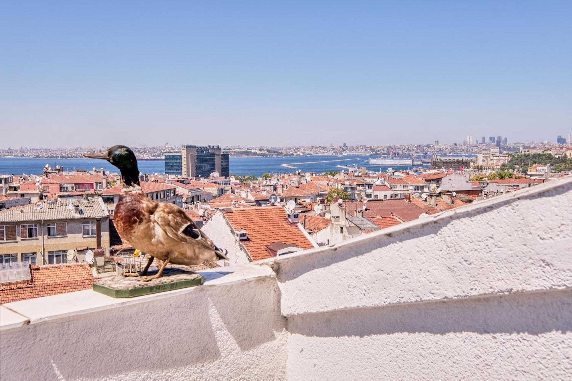 Duck Otel Istanbul Eksteriør bilde